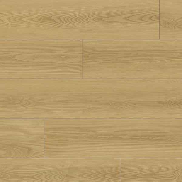 1867 - EVOLUTION MAGMA VINYL COLLECTION 1867 - EVOLUTION MAGMA VINYL COLLECTION