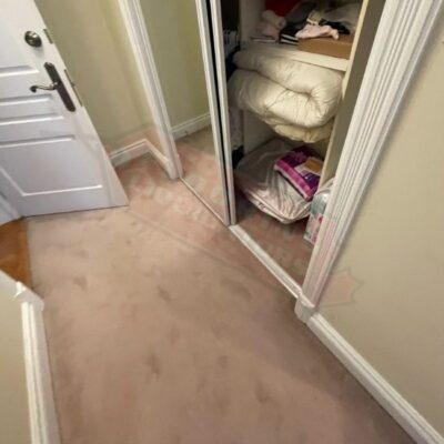replacing carpet floors with solid hardwood floors