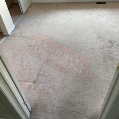 bright vinyl floors replace old carpet
