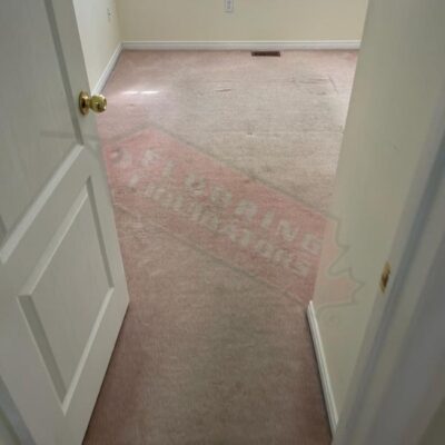 replacing old carpet with bright vinyl flooring
