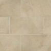 MSI Surfaces - Eden Collection Polished Finish - 12 x 24