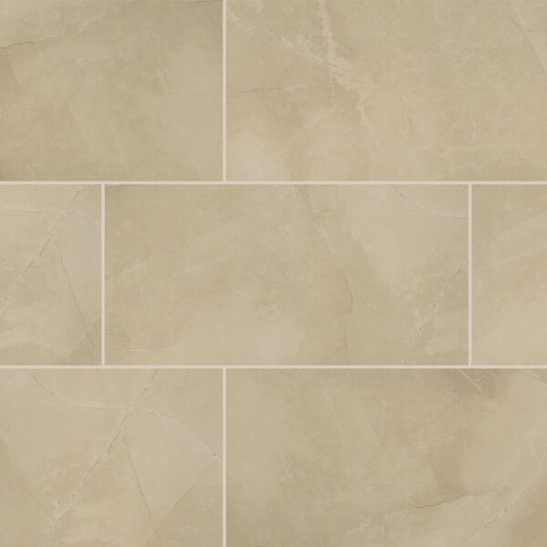 MSI Surfaces - Sande Collection Polished Finish 12 x 24