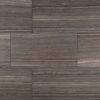 MSI Surfaces - Praia Collection Polished Finish 12 x 24