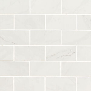 aria ice 2x4 mosaic polished