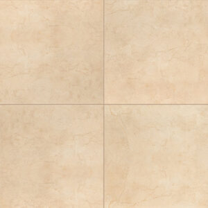 cremita aria porcelain 24x24 polished