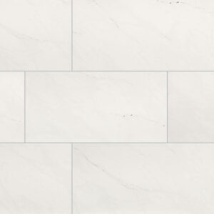 ice aria porcelain 24x48 polished