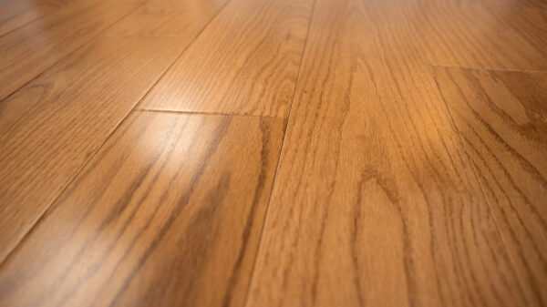 Grandeur Contemporary - North American Red Oak - 4 1/4" × RL