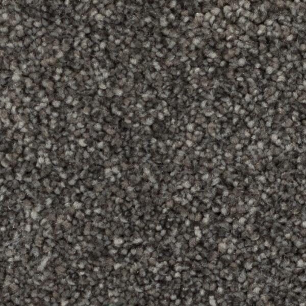 Beaulieu - Calm Retreat A4481 - Broadloom