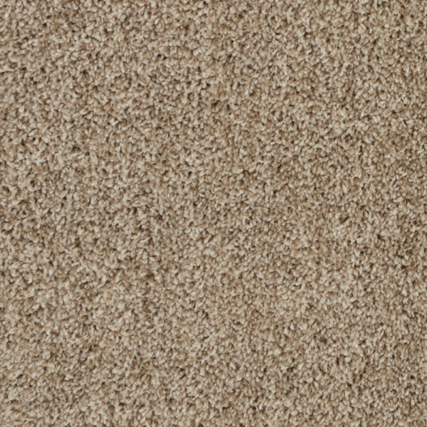 Beaulieu - High Five A4920 - Broadloom