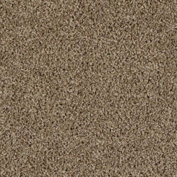 Beaulieu - High Five A4920 - Broadloom