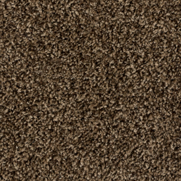 Beaulieu - High Five A4920 - Broadloom