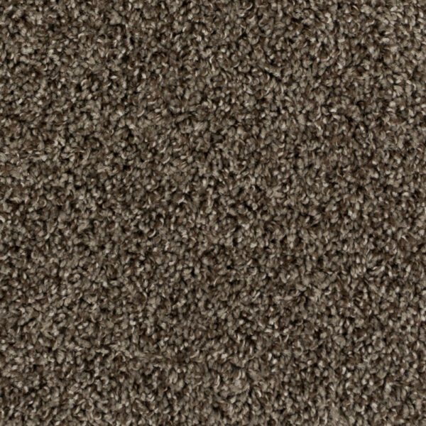 Beaulieu - High Five A4920 - Broadloom