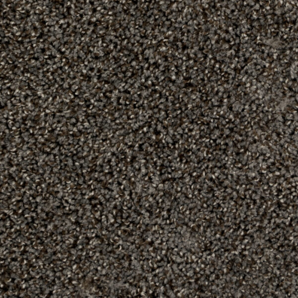 Beaulieu - High Five A4920 - Broadloom