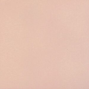 NESHADA - BORGO SERIES -  2.5" X 8" PORCELAIN