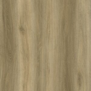 1867 - EVOLUTION ORIGIN - GLUEDOWN - 2MM - VINYL