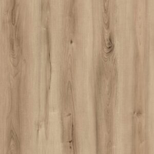 1867 - EVOLUTION ORIGIN - GLUEDOWN - 2MM - VINYL