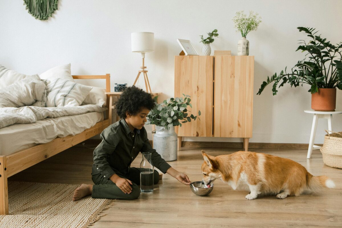 best flooring for pets
