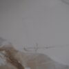 Carracatta Borghini (Polished) Tile