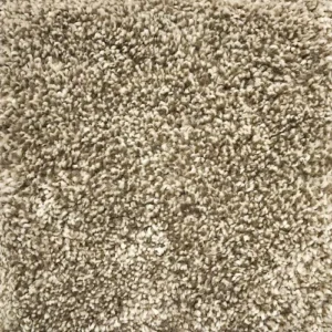 Next Floor - Cashmere 205