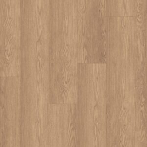 Baronia marron