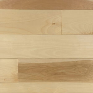 Appalachian - Yellow Birch - 4-1/4" × RL