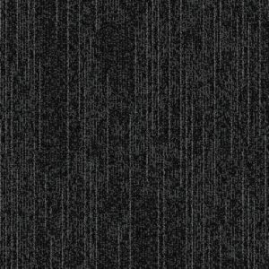Black Spider
