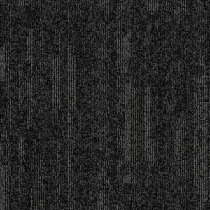 Black Spider