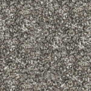 Coachman Grey