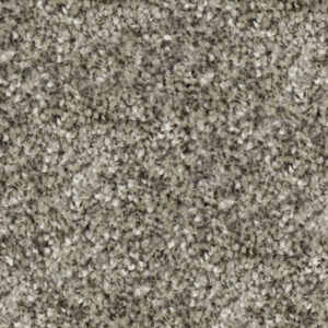 Elephant Skin