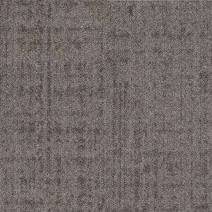 Noble Owl