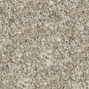 North American Grey