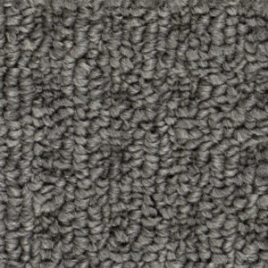 North American Grey
