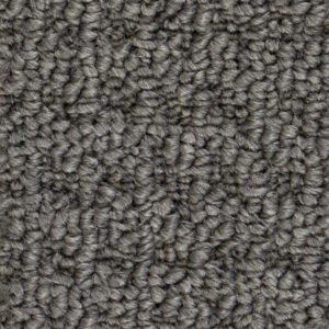 North American Grey
