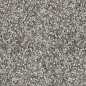 Silvered Sky