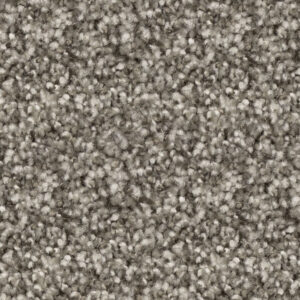 Sycamore Grey