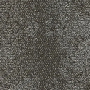 fjord