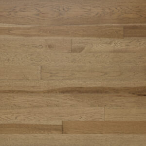 hickory sonora