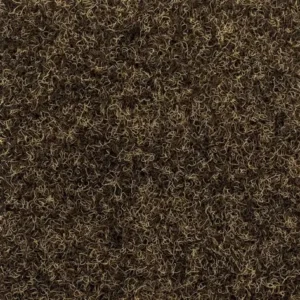 pecan