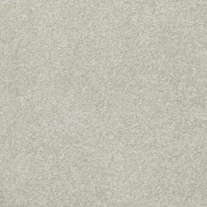 sugar cookie