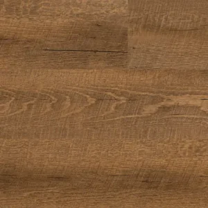 sugi
