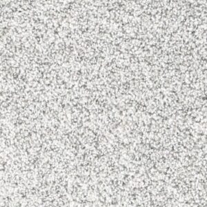 Leaden Carpet Flooring FL139 <br><br><b><span style="text-decoration: line-through;">$3.79 / Sqft</span></b>