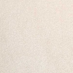 Light Vision Carpet Flooring FL124 <br><br><b><span style="text-decoration: line-through;">$3.99 / Sqft</span></b>